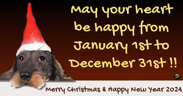 Christmas image with a dog wearing a Santa Claus hat.